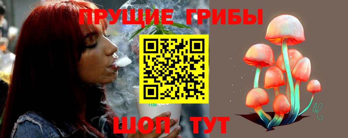 Галлюциногенные грибы Psilocybine cubensis Набережные Челны